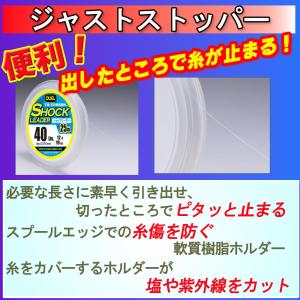 DUEL(デュエル) フロロライン 10Lbs...の詳細画像3