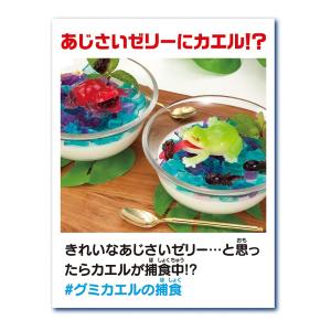 メガハウス(MegaHouse) 女児ホビー ...の詳細画像5