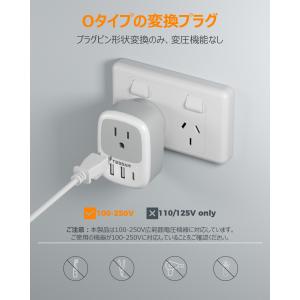 オーストラリア 変換プラグ o型 usb-c付...の詳細画像5