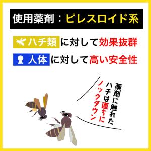 スズメバチ 駆除 ハチノックL 300ml×6...の詳細画像2