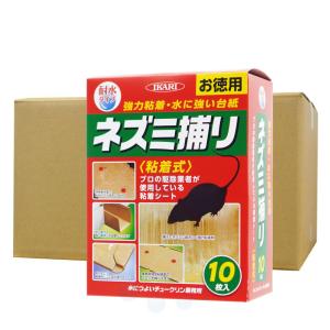 ネズミ駆除 ネズミ粘着シート 水につよいチュークリン業務用 10枚入×10個 耐水 イカリ消毒 ネズミ退治 捕獲｜快適クラブ.ｎｅｔ