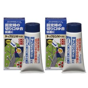 レインボー薬品 芝生 殺虫剤 効果 フルスウィング 100g×10本