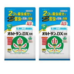 オルトランDX粒剤 1kg×2個 住友化学園芸 殺虫剤 農薬｜快適クラブ.ｎｅｔ