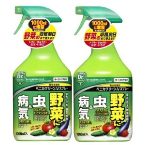 住友化学園芸 ベニカグリーンVスプレー 1000ml×2本   野菜 害虫 病気 アブラムシ ハダニ 防除 農薬｜kaiteki-club