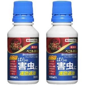 レインボー薬品 芝生 殺虫剤 効果 フルスウィング 100g×10本