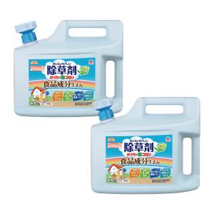 アースガーデン おうちの草コロリ 4.5L×2本 【非農耕地用】 アース製薬｜kaiteki-club