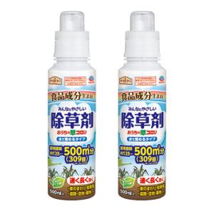 レインボー薬品 芝生 殺虫剤 効果 フルスウィング 100g コガネムシ類