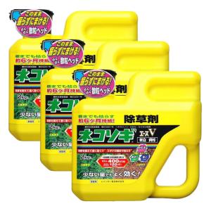 除草剤 ネコソギエースV粒剤 2kgボトル×3本 農薬 雑草 枯らす 予防 効果 レインボー薬品｜kaiteki-club