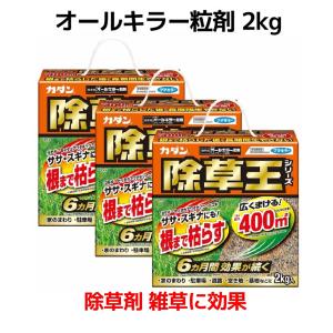 レインボー薬品 除草剤 ネコソギメガIII粒剤 7kg 農薬 雑草 根 枯らす