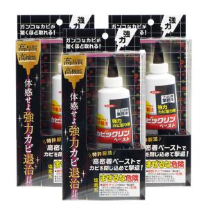 イカリ消毒 カビックリンペースト 120g ×3個 業務用 強力 カビ取り｜kaiteki-club