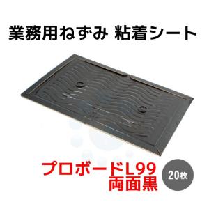FUJICOLOR 額縁 額装用 バックシート A3ノビ 5枚入り 470192 無色透明