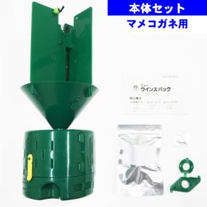 マメコガネムシ 捕獲トラップ