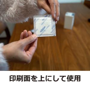 シミ チャタテムシ 対策 エコミュアー FTプ...の詳細画像4