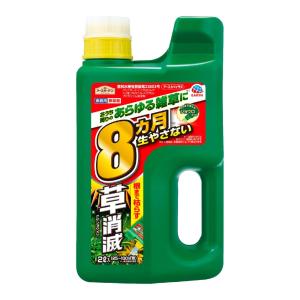 レインボー薬品 芝生 殺虫剤 効果 フルスウィング 100g×10本