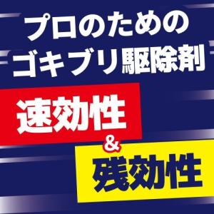 ゴキブリ 駆除 殺虫剤 金鳥プロ用ゴキブリ駆除...の詳細画像1