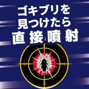 ゴキブリ 駆除 殺虫剤 金鳥プロ用ゴキブリ駆除...の詳細画像2