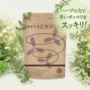 カイテキどかスリム茶 お茶 ハーブ ティー 便秘...の商品画像