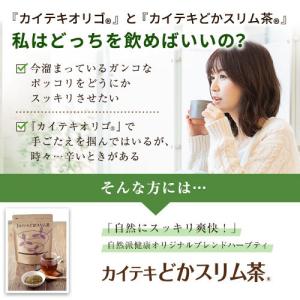 カイテキどかスリム茶 お茶 ハーブ ティー 便...の詳細画像2