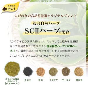 カイテキどかスリム茶 お茶 ハーブ ティー 便...の詳細画像3