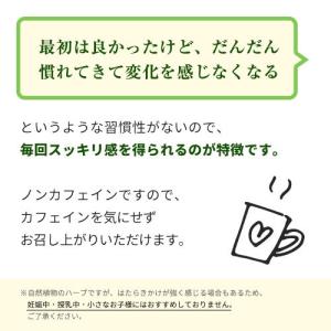 カイテキどかスリム茶 お茶 ハーブ ティー 便...の詳細画像4