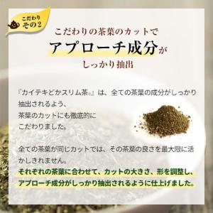 カイテキどかスリム茶 お茶 ハーブ ティー 便...の詳細画像5
