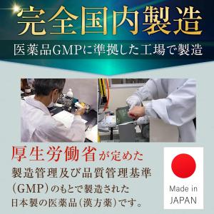【第2類医薬品】ジナックス 60包 30日分 ...の詳細画像5