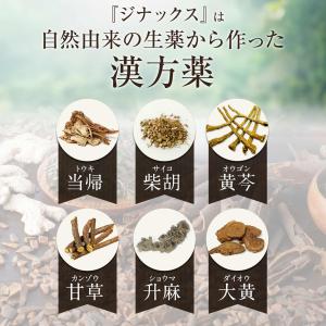 【第2類医薬品】ジナックス 60包 30日分 ...の詳細画像3