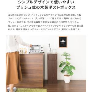 ゴミ箱 45リットル ごみ箱 おしゃれ ダスト...の詳細画像3