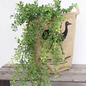 フェイクグリーン 丸い葉っぱのモフモフ 飾り オ...の商品画像