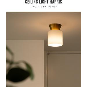 シーリングライト led 対応 おしゃれ 照明...の詳細画像2