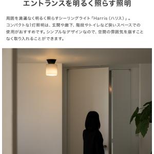 シーリングライト led 対応 おしゃれ 照明...の詳細画像3