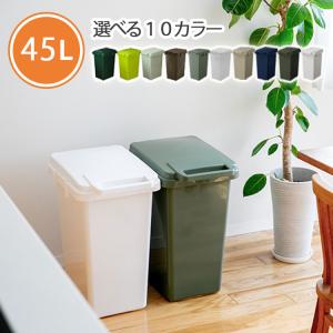 ダストボックス 45リットル エコ コンテナスタイル イーロ...