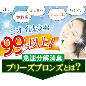 日本製 消臭靴下 ブリーズブロンズ ワークソッ...の詳細画像2