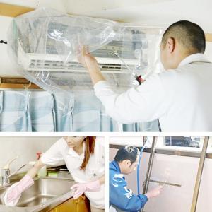 アズマ公式 アズマジック 排水パイプ洗浄剤 4...の詳細画像5
