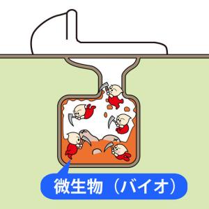 アズマ公式 汲み取りトイレバイオ消臭 30包入...の詳細画像2