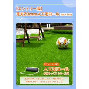 人工芝 ロール 1m×20m 芝丈20mm /...の詳細画像1