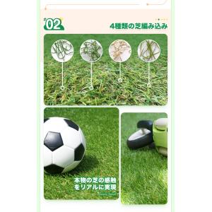 人工芝 ロール式 2m×10m 芝丈30mm ...の詳細画像4