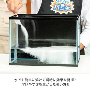 シュワッ!とパンチお試しセット 計3個 30g...の詳細画像5