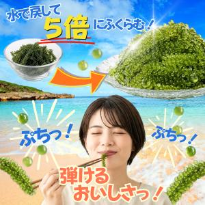 海ぶどう プチプチ食感 スーパーフード AWO...の詳細画像2