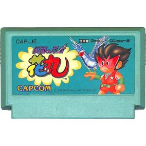 海外最新 仮面の忍者花丸 Nintendo Entertainment 最新コレックション Www Teamlabs Es