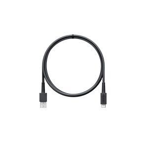 Nintendo Switch 本体 2017年　USBケーブル付き Nintendo Switch [HAC-010]Switch USBケーブル (純正)【中古】 : スタ
