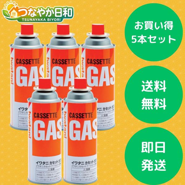 イワタニ ガスボンベ 5本入り CB-250-OR　Iwatani　岩谷　災害対策　備蓄用　キャンプ...
