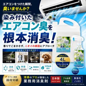 スリーエス エアコン洗浄スプレー JET3S 240ml｜除菌 消臭 防カビ 簡単