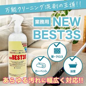 スリーエス New BEST 3S マルチ ク...の詳細画像1