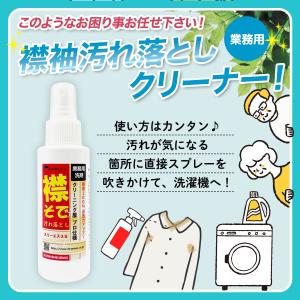 スリーエス 襟そで汚れ落とし3S 100ml ...の詳細画像4
