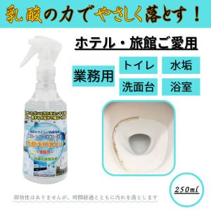 水垢取り洗剤 シンク 洗面台 水垢取り 頑固 トイレタンク洗浄剤 トイレ掃除 水垢 落とし方 陶器万能汚れ落とし 業務用 250mlの商品画像