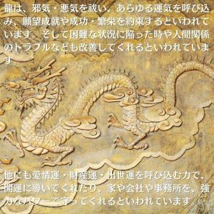 風水 龍硬貨 龍コイン 龍金 双龍銭 風水銭 ...の詳細画像2