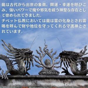 風水 龍硬貨 龍コイン 龍金 双龍銭 風水銭 ...の詳細画像5