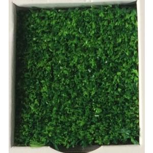 サンバルコ NF 人工芝 182cm巾×1m単位で長さ指定（最大長さ20m