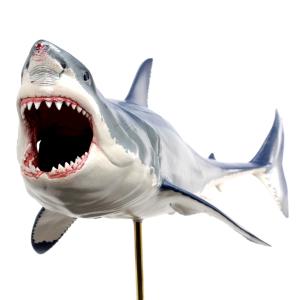 ホホジロザメ フィギュア2 Great white shark（フィッシュ